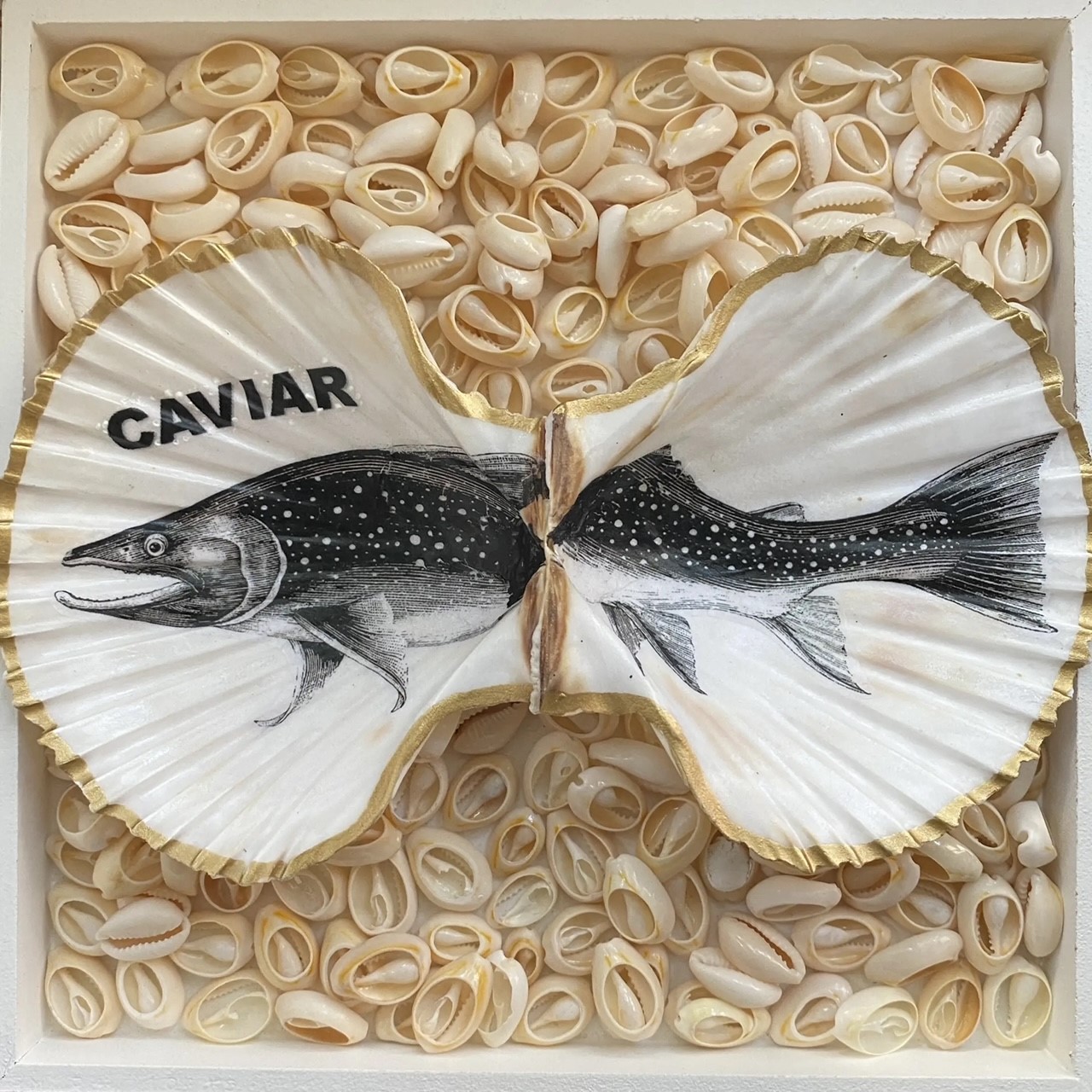 Pétoncle caviar